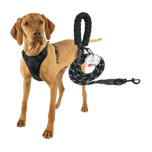 Lovtastic Creations® No-Pull Dog Harness - with Strong & Durable Dog Leash & Free Poopbag Holder 3pcs Set | Reflective No-Choke Pet Harness