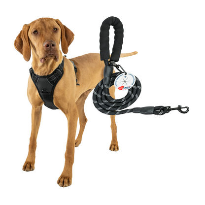 Lovtastic Creations® No-Pull Dog Harness - with Strong & Durable Dog Leash & Free Poopbag Holder 3pcs Set | Reflective No-Choke Pet Harness