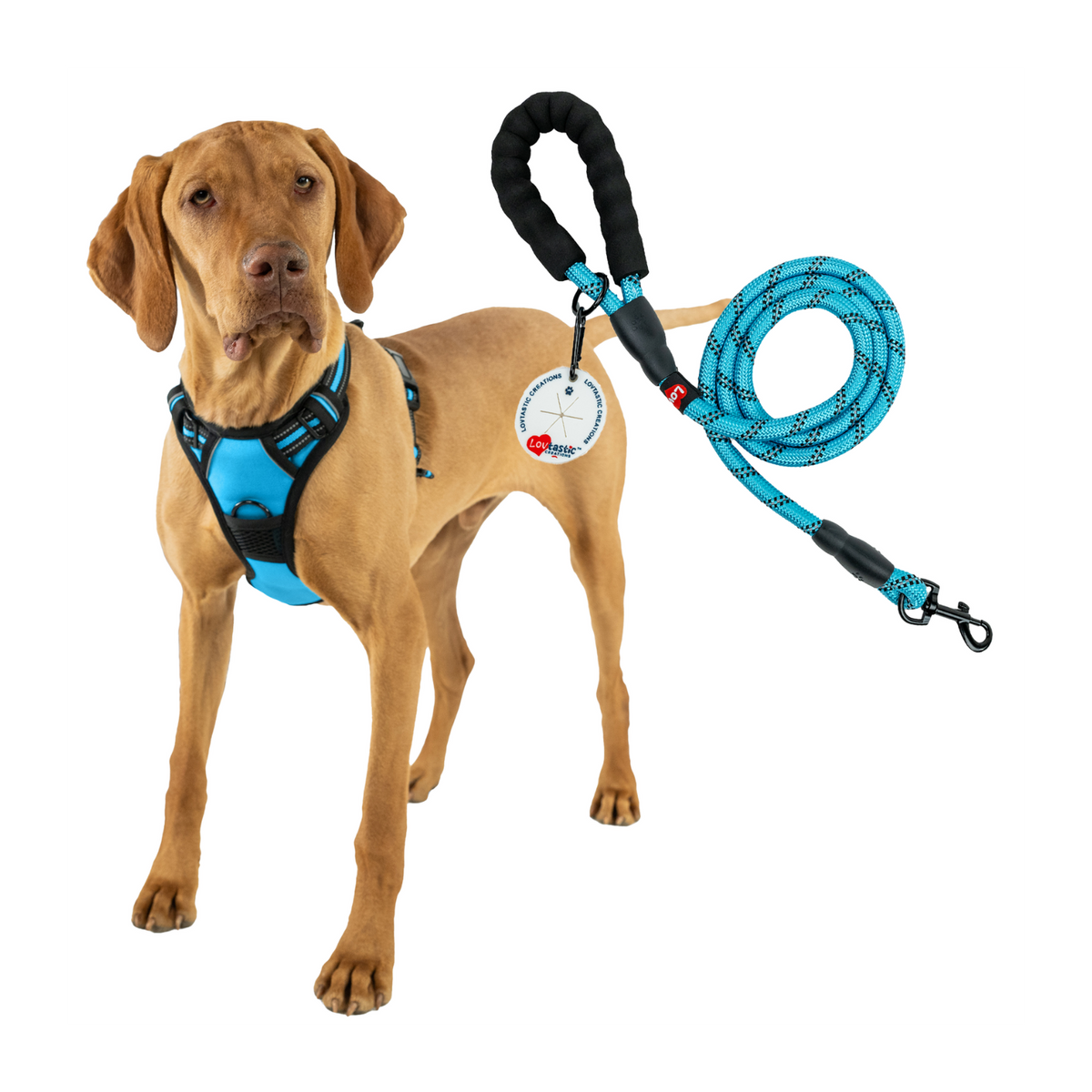 Lovtastic Creations® No-Pull Dog Harness - with Strong & Durable Dog Leash & Free Poopbag Holder 3pcs Set | Reflective No-Choke Pet Harness