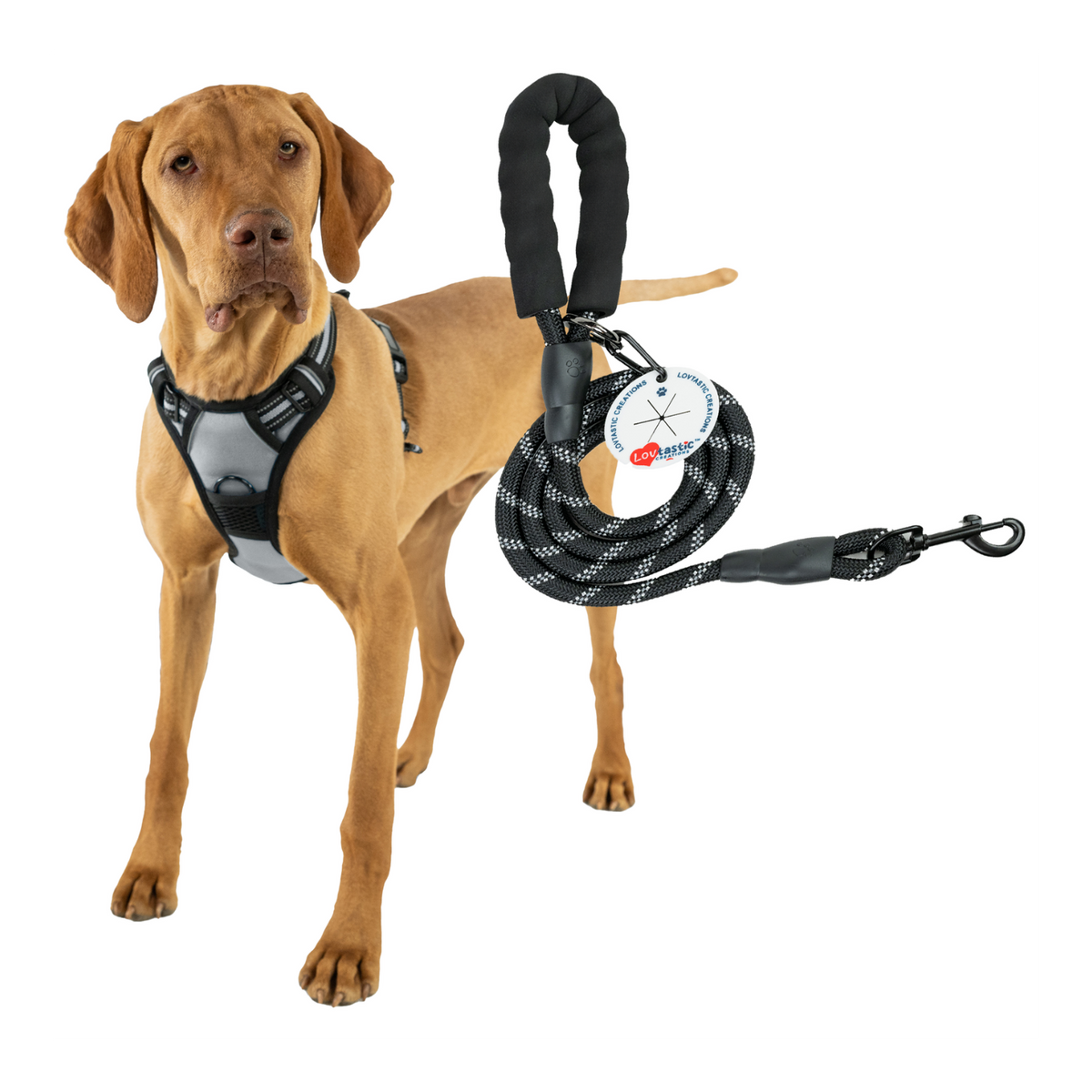 Lovtastic Creations® No-Pull Dog Harness - with Strong & Durable Dog Leash & Free Poopbag Holder 3pcs Set | Reflective No-Choke Pet Harness