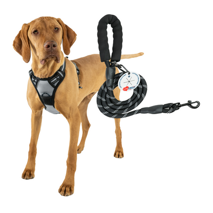 Lovtastic Creations® No-Pull Dog Harness - with Strong & Durable Dog Leash & Free Poopbag Holder 3pcs Set | Reflective No-Choke Pet Harness