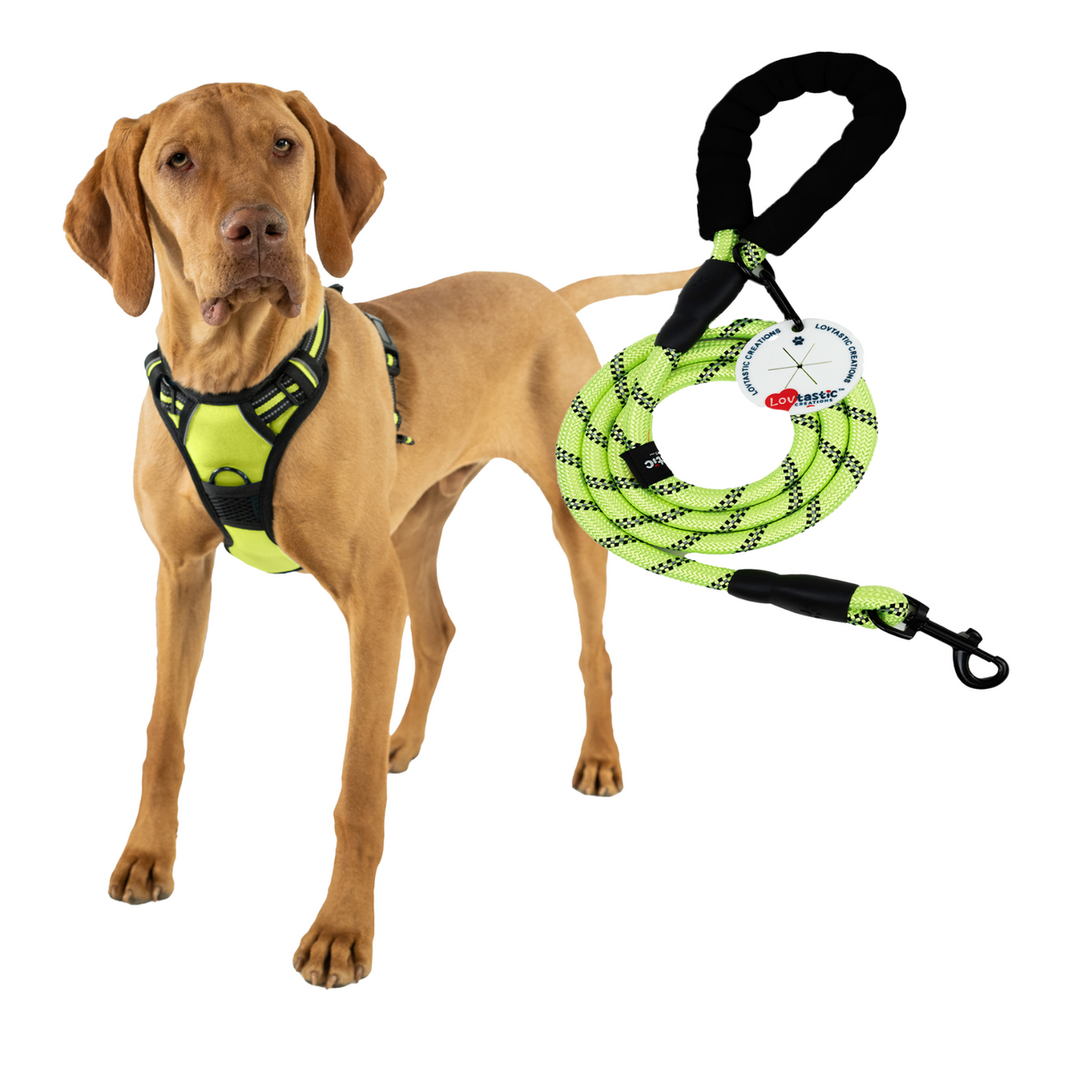 Lovtastic Creations® No-Pull Dog Harness - with Strong & Durable Dog Leash & Free Poopbag Holder 3pcs Set | Reflective No-Choke Pet Harness