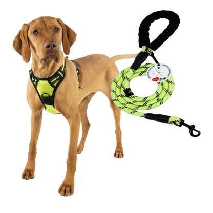 Lovtastic Creations® No-Pull Dog Harness - with Strong & Durable Dog Leash & Free Poopbag Holder 3pcs Set | Reflective No-Choke Pet Harness