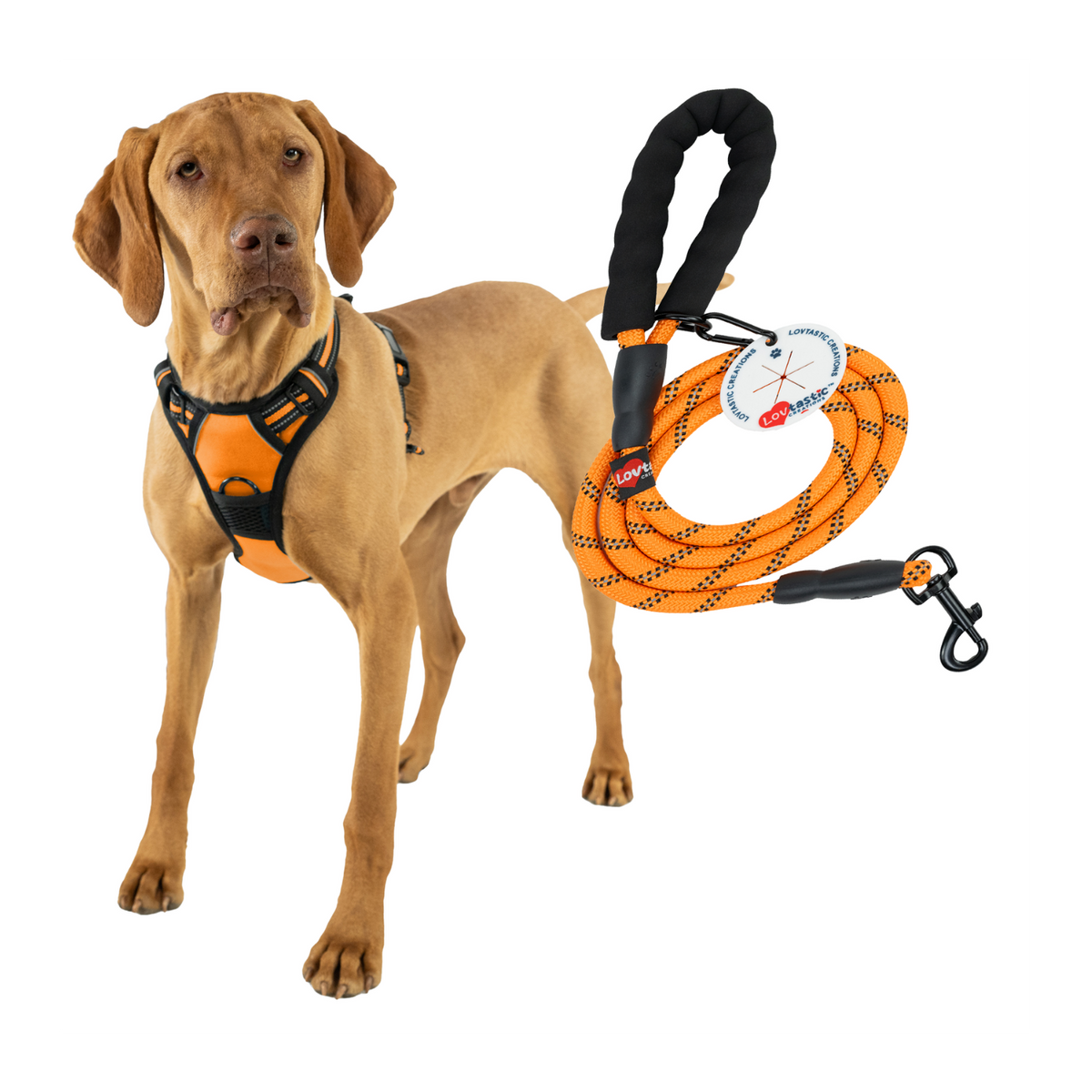 Lovtastic Creations® No-Pull Dog Harness - with Strong & Durable Dog Leash & Free Poopbag Holder 3pcs Set | Reflective No-Choke Pet Harness