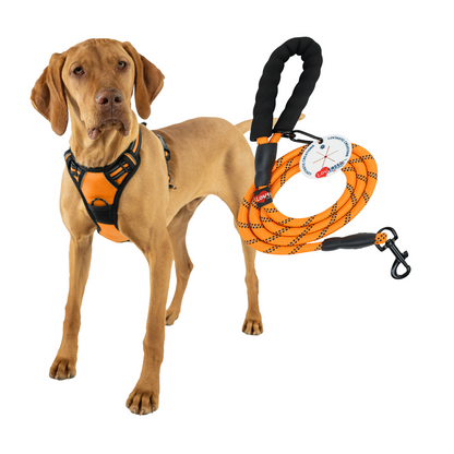 Lovtastic Creations® No-Pull Dog Harness - with Strong & Durable Dog Leash & Free Poopbag Holder 3pcs Set | Reflective No-Choke Pet Harness