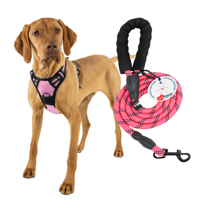 Lovtastic Creations® No-Pull Dog Harness - with Strong & Durable Dog Leash & Free Poopbag Holder 3pcs Set | Reflective No-Choke Pet Harness