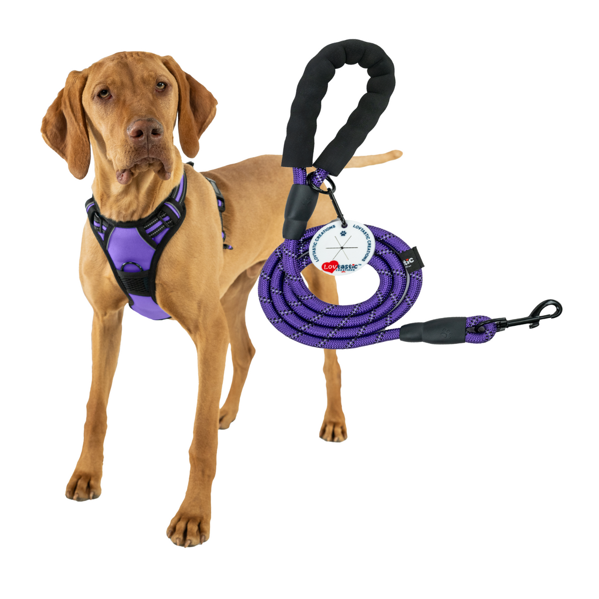 Lovtastic Creations® No-Pull Dog Harness - with Strong & Durable Dog Leash & Free Poopbag Holder 3pcs Set | Reflective No-Choke Pet Harness