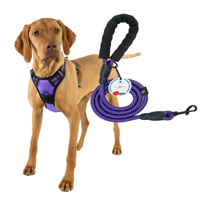 Lovtastic Creations® No-Pull Dog Harness - with Strong & Durable Dog Leash & Free Poopbag Holder 3pcs Set | Reflective No-Choke Pet Harness