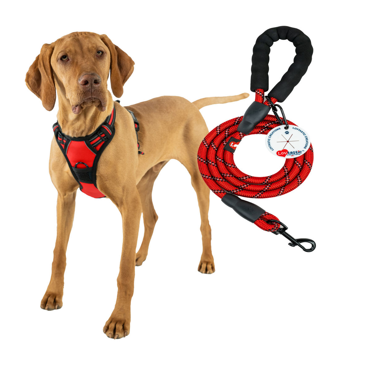 Lovtastic Creations® No-Pull Dog Harness - with Strong & Durable Dog Leash & Free Poopbag Holder 3pcs Set | Reflective No-Choke Pet Harness