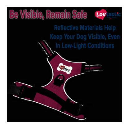 Lovtastic Creations® No-Pull Dog Harness - with Strong & Durable Dog Leash & Free Poopbag Holder 3pcs Set | Reflective No-Choke Pet Harness