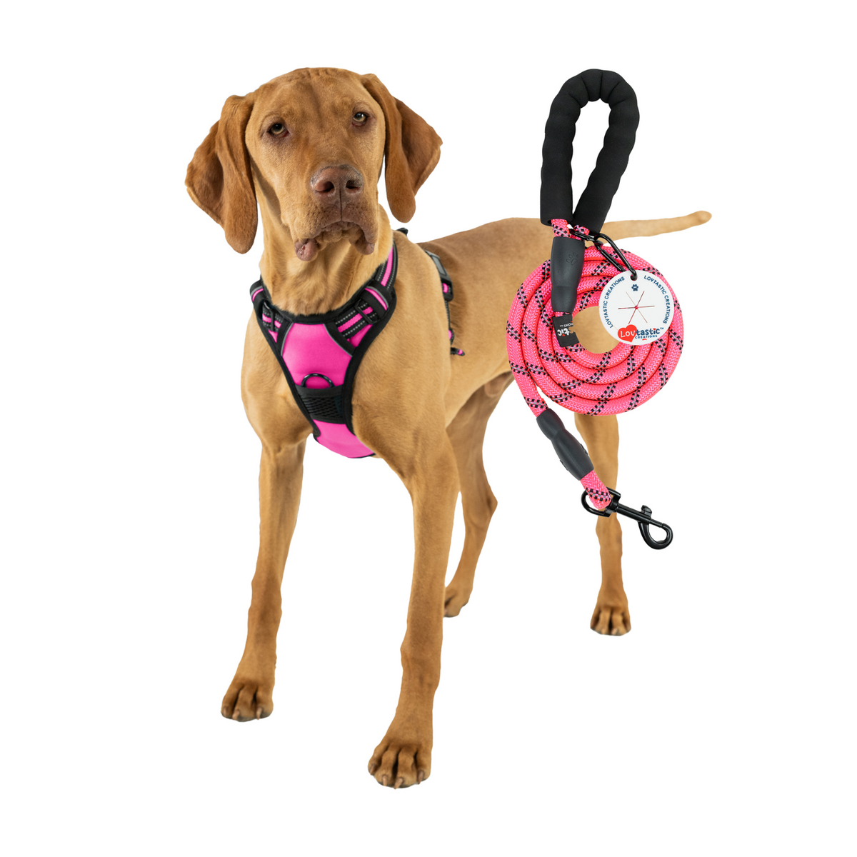 Lovtastic Creations® No-Pull Dog Harness - with Strong & Durable Dog Leash & Free Poopbag Holder 3pcs Set | Reflective No-Choke Pet Harness
