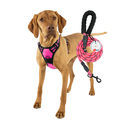 Lovtastic Creations® No-Pull Dog Harness - with Strong & Durable Dog Leash & Free Poopbag Holder 3pcs Set | Reflective No-Choke Pet Harness