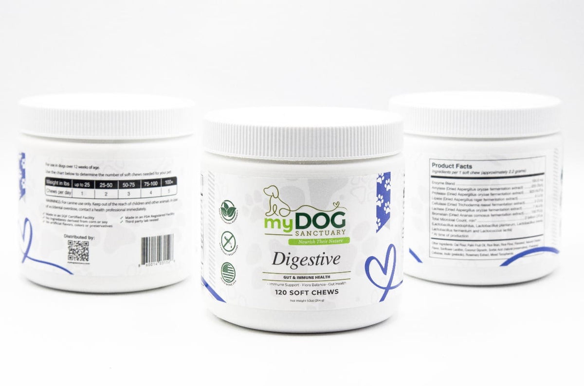 Gut Garden™ Digestive Support Chews from My Dog Sanctuary – Dog Digestive Wellness Treats
